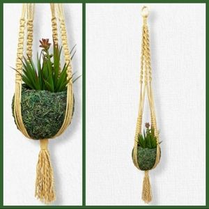 Moss Kokedama Inspired Planter w/Macrame Plant Hanger